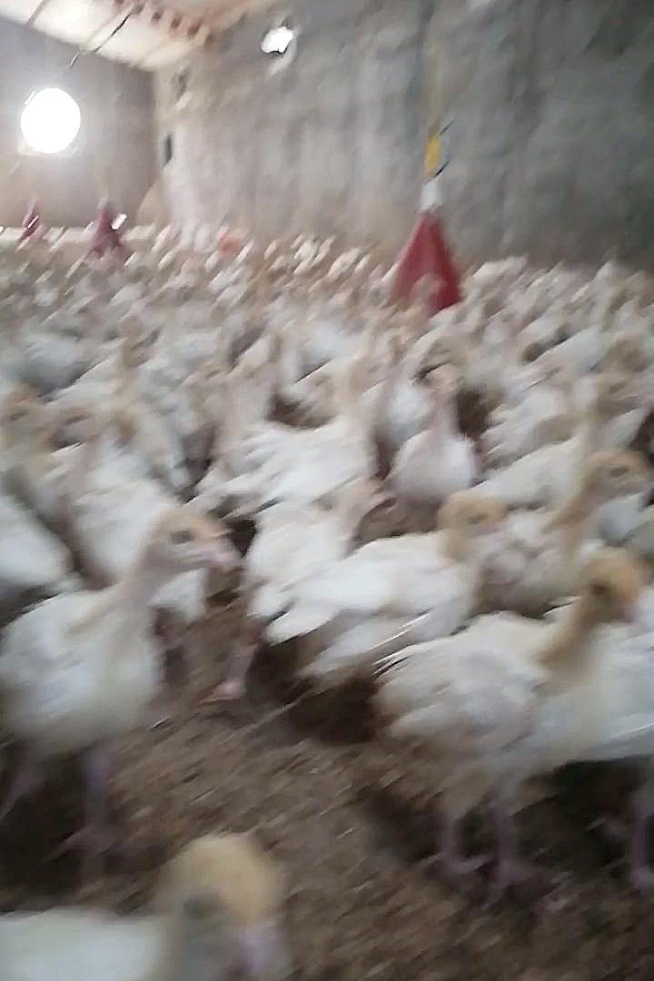 vlabEybj7dpQ.mp4