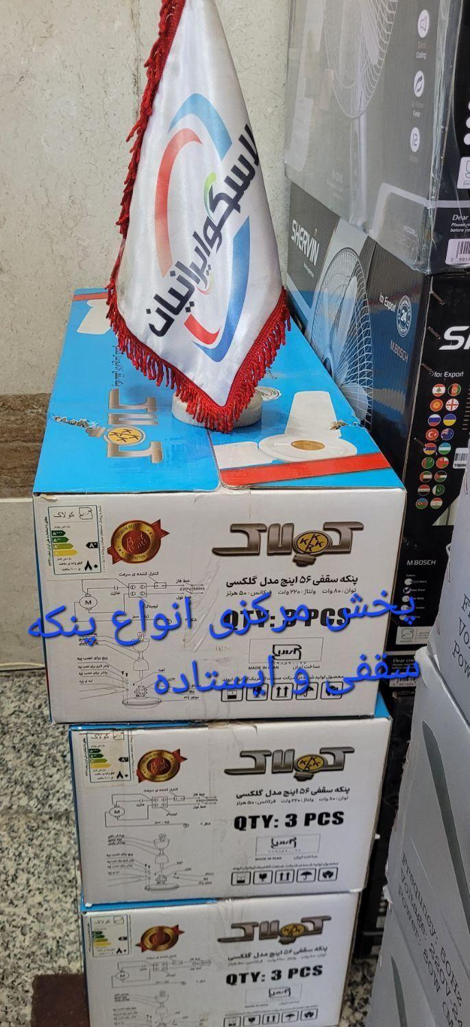 8gUHDtEEDJGl.jpg