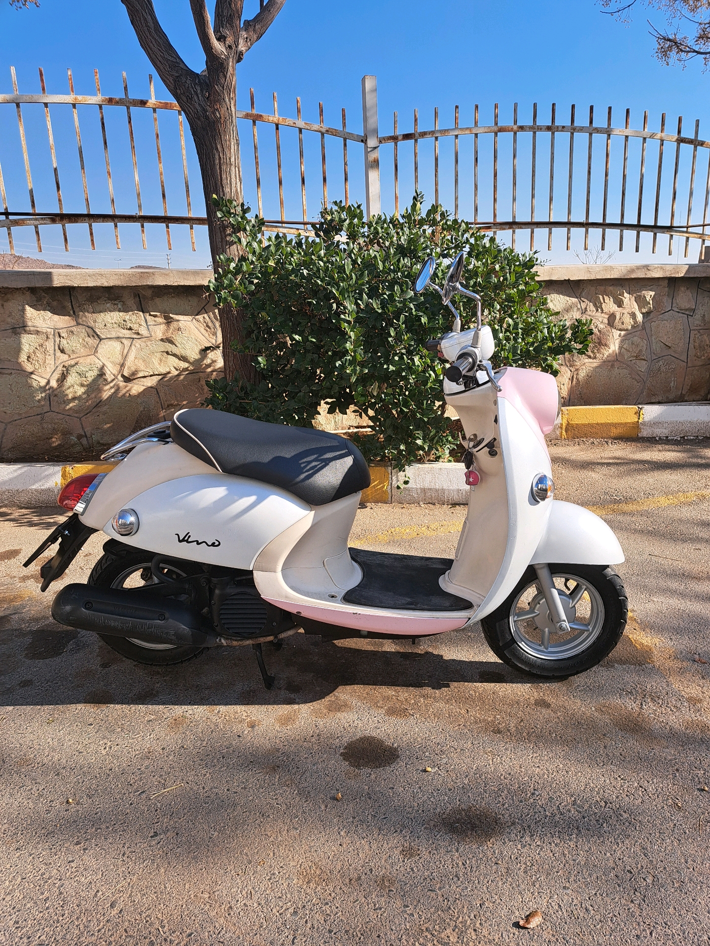 VM55Qp784MpC.jpg